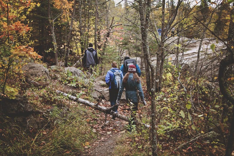 Website Upload 1_Blog_FrancisDay-12