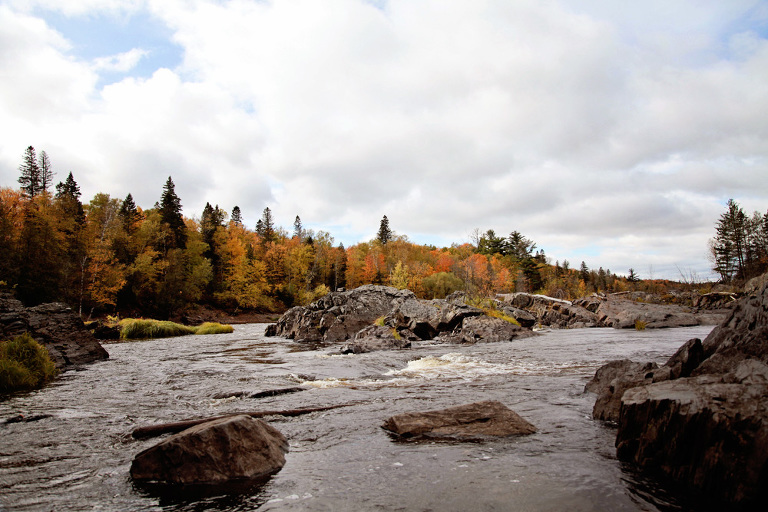 Website Upload 1_Blog_FrancisDay-16