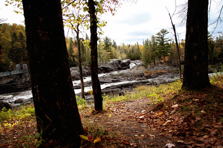 Website Upload 1_Blog_FrancisDay-2