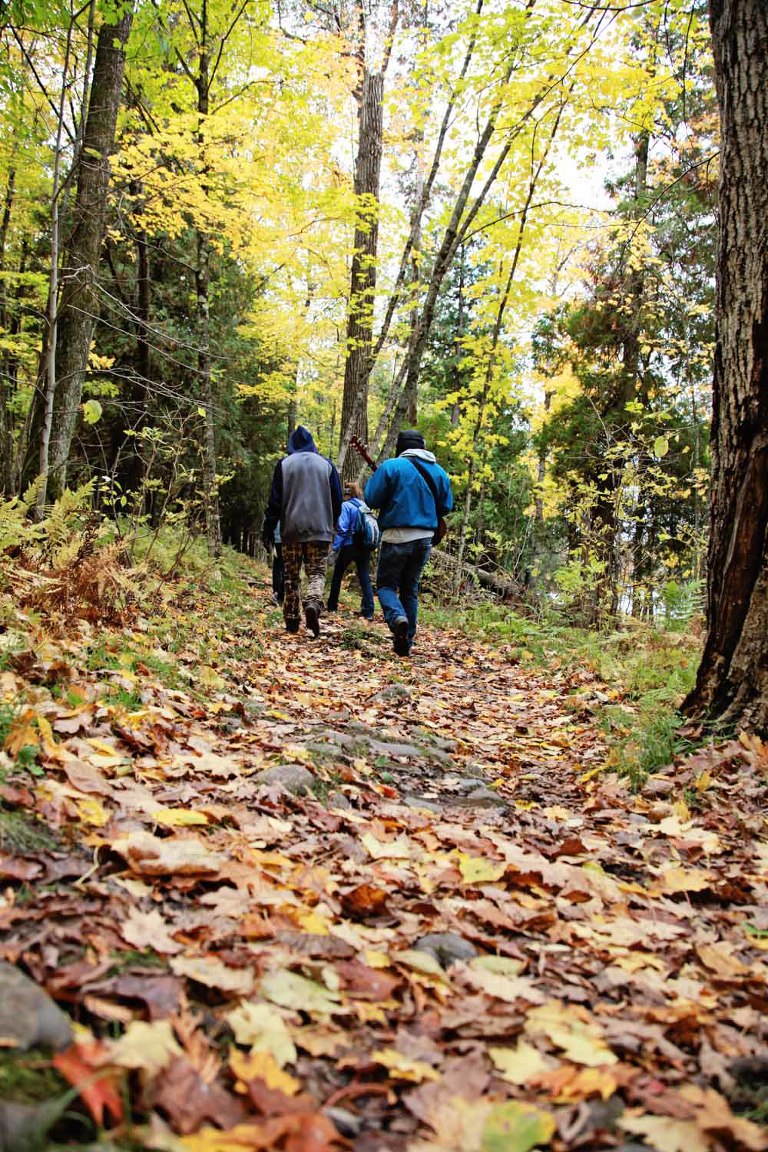 Website Upload 1_Blog_FrancisDay-24