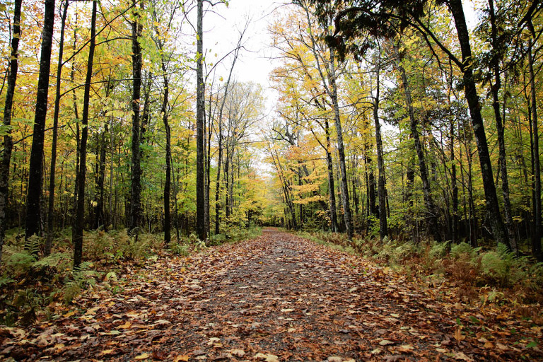 Website Upload 1_Blog_FrancisDay-26