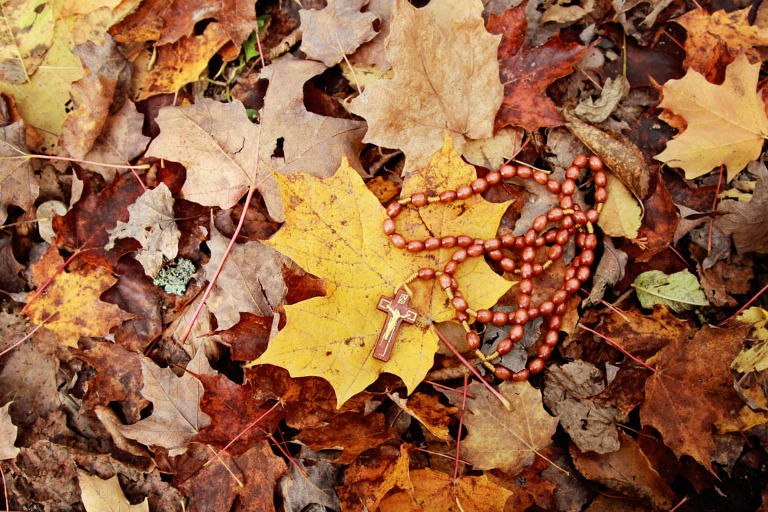 Website Upload 1_Blog_FrancisDay-28