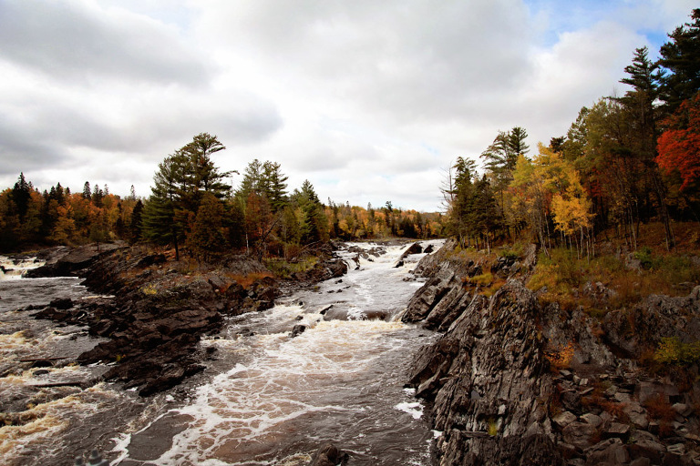 Website Upload 1_Blog_FrancisDay-4