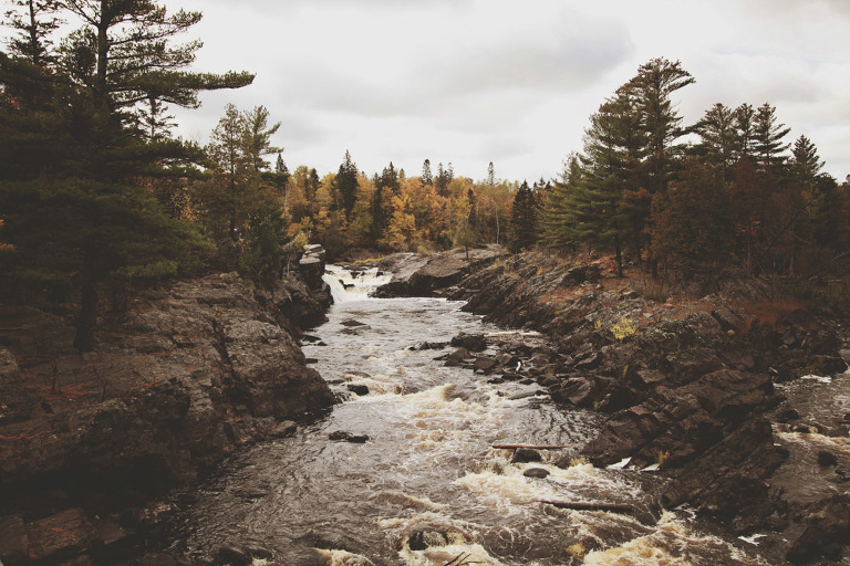 Website Upload 1_Blog_FrancisDay-7