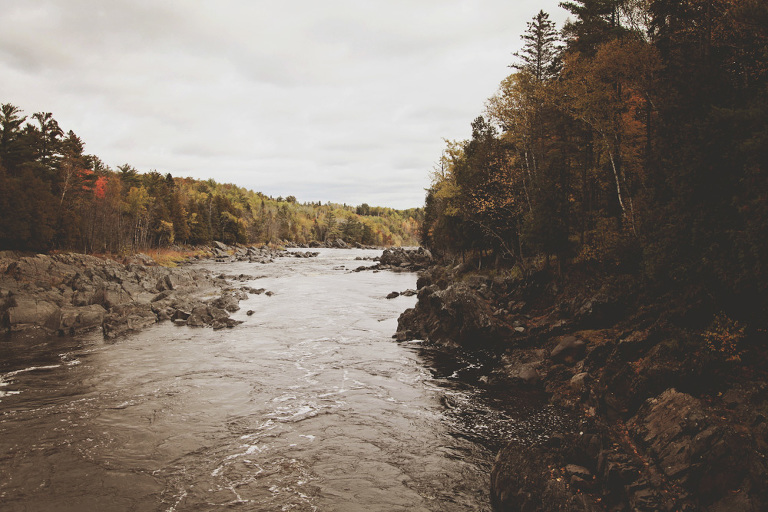 Website Upload 1_Blog_FrancisDay-8