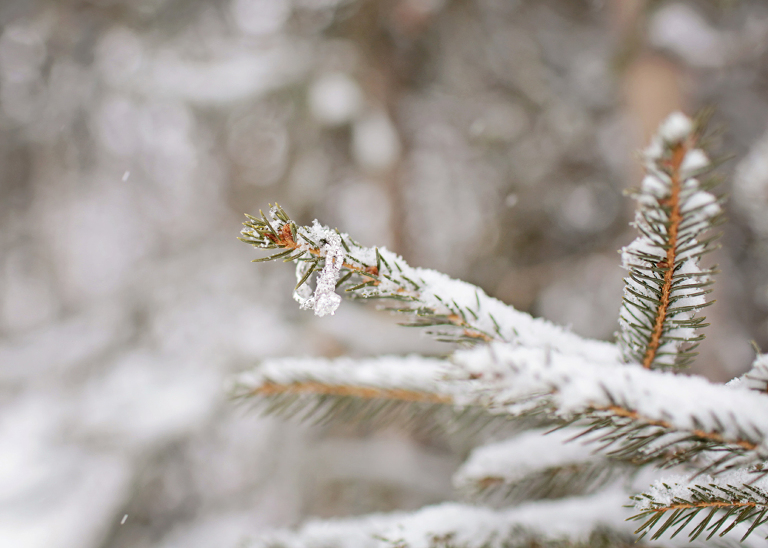 PerpetuaPhotography_blog_KlattEngagement-22